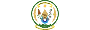 partners_proskills_govofrwanda-300x100